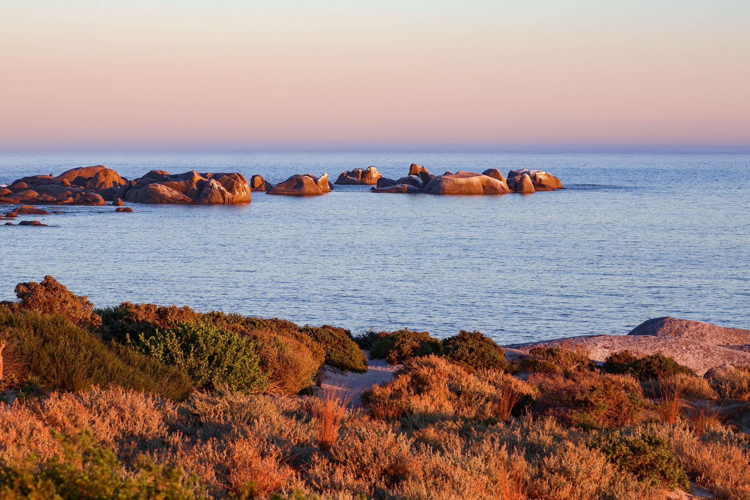The granite boulders off Paternoster at sunset, fynbos in the foreground